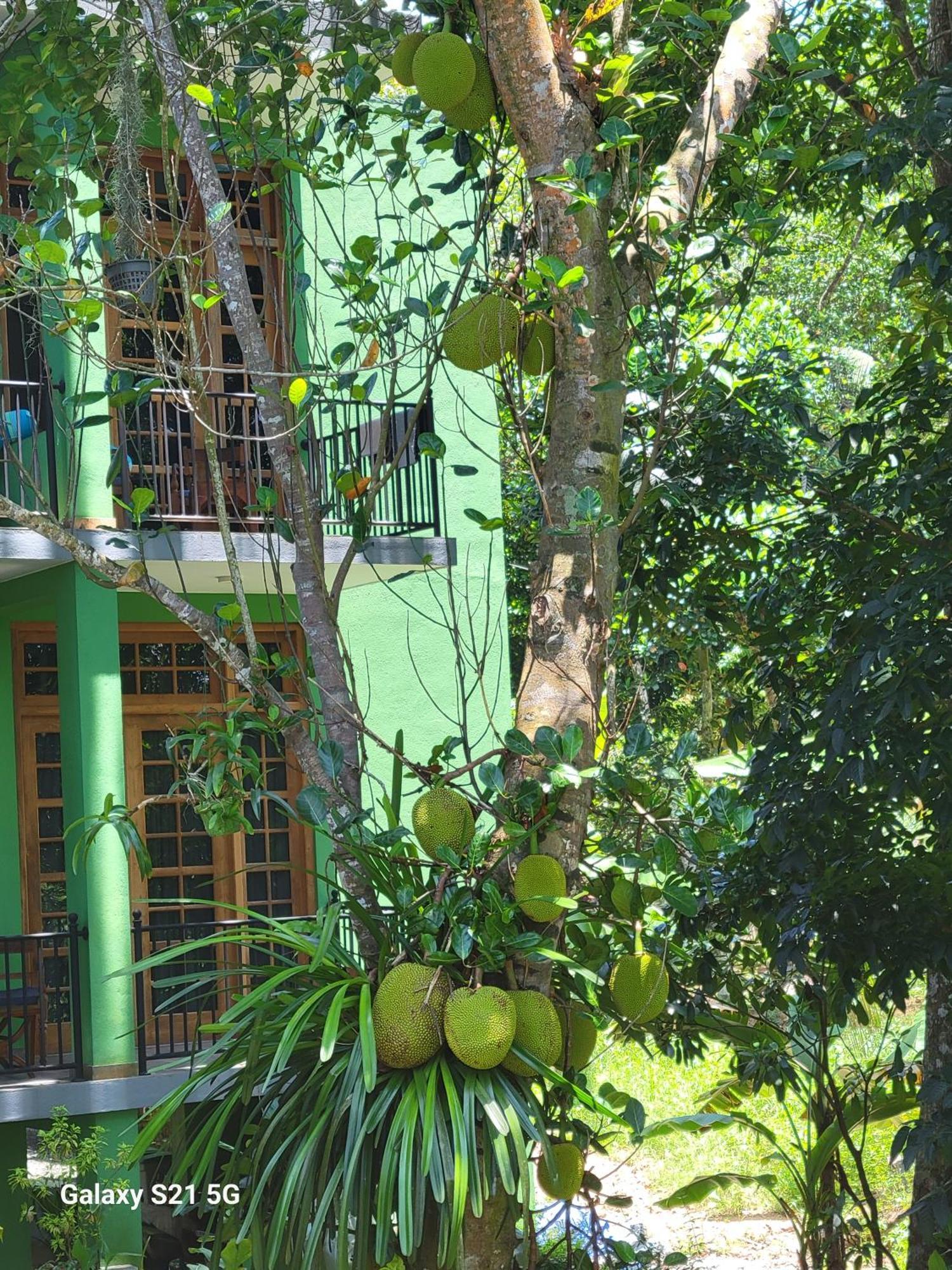 Barefoot Bungalow Hikka Хикадува Екстериор снимка