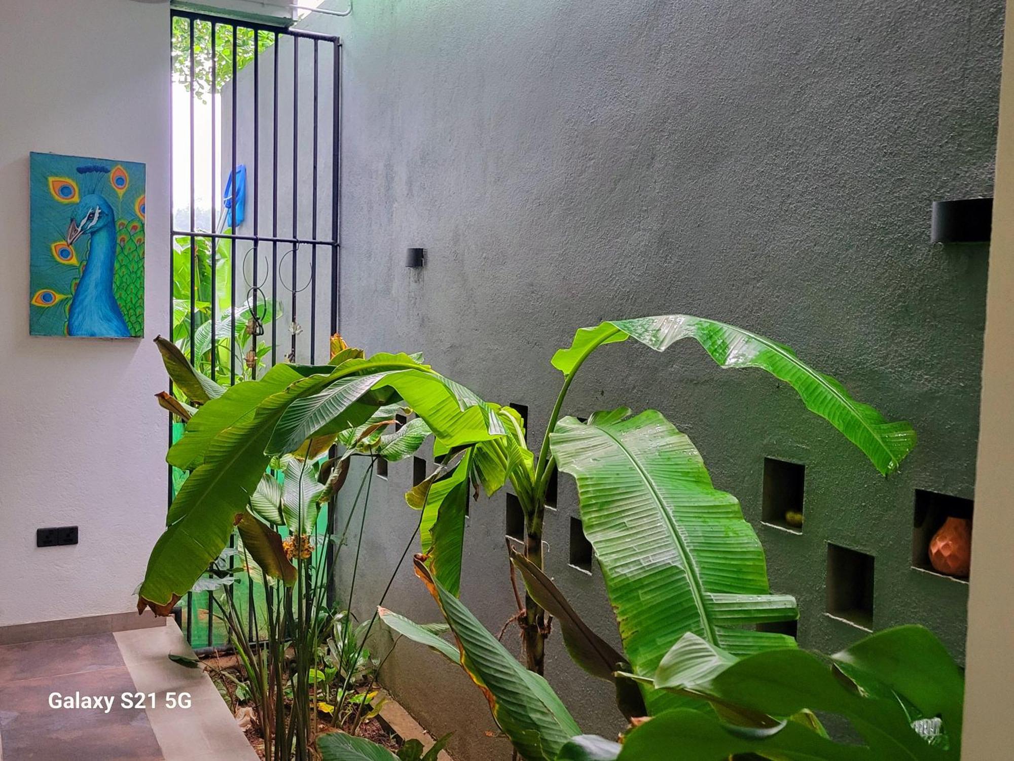 Barefoot Bungalow Hikka Хикадува Екстериор снимка
